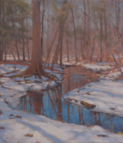 Buttressed Tree Along the Creek James Coe