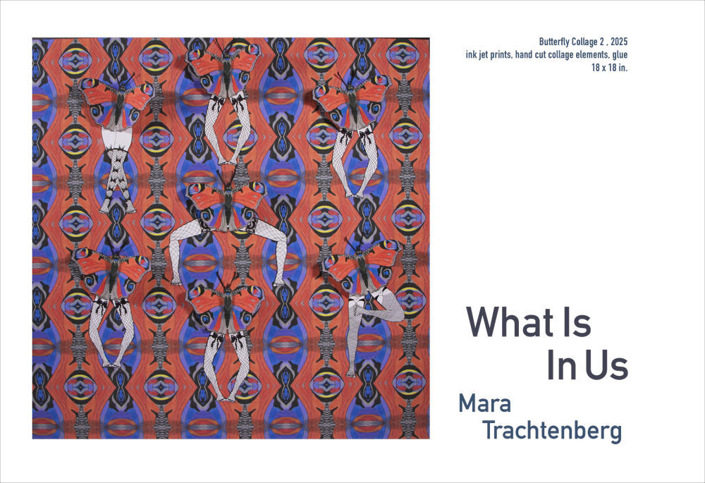 What Is In Us | Mara Trachtenberg